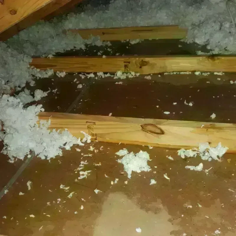 Attic Water Damage in Groesbeck, TX